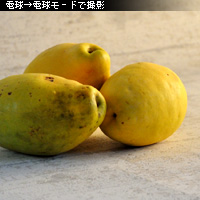 かなりピンボケ ホワイトバランスで遊ぶ