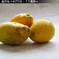 かなりピンボケ ホワイトバランスで遊ぶ
