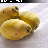かなりピンボケ ホワイトバランスを学ぶ