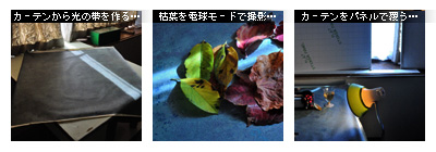 かなりピンボケ ホワイトバランスを学ぶ
