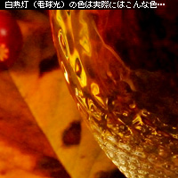 ¤«¤Ê¤ê¥Ô¥ó¥Ü¥± ¥Û¥ï¥¤¥È¥Ð¥é¥ó¥¹¤ò¤Þ¤Ê¤Ö