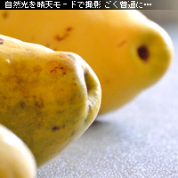 ¤«¤Ê¤ê¥Ô¥ó¥Ü¥± ¥Û¥ï¥¤¥È¥Ð¥é¥ó¥¹¤ò¤Þ¤Ê¤Ö