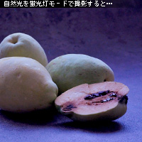 ¤«¤Ê¤ê¥Ô¥ó¥Ü¥± ¥Û¥ï¥¤¥È¥Ð¥é¥ó¥¹¤ò¤Þ¤Ê¤Ö