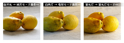 ¤«¤Ê¤ê¥Ô¥ó¥Ü¥± ¥Û¥ï¥¤¥È¥Ð¥é¥ó¥¹¤ò¤Þ¤Ê¤Ö