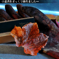 ¤«¤Ê¤ê¥Ô¥ó¥Ü¥± ¥Û¥ï¥¤¥È¥Ð¥é¥ó¥¹ÀâÌÀ