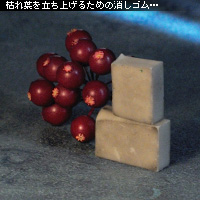 ¤«¤Ê¤ê¥Ô¥ó¥Ü¥± ¥Û¥ï¥¤¥È¥Ð¥é¥ó¥¹ÀâÌÀ