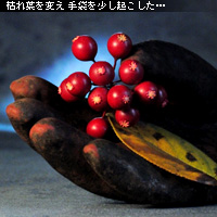 ¤«¤Ê¤ê¥Ô¥ó¥Ü¥± ¥Û¥ï¥¤¥È¥Ð¥é¥ó¥¹ÀâÌÀ