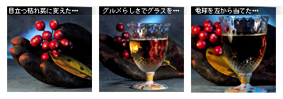 ¤«¤Ê¤ê¥Ô¥ó¥Ü¥± ¥Û¥ï¥¤¥È¥Ð¥é¥ó¥¹ÀâÌÀ