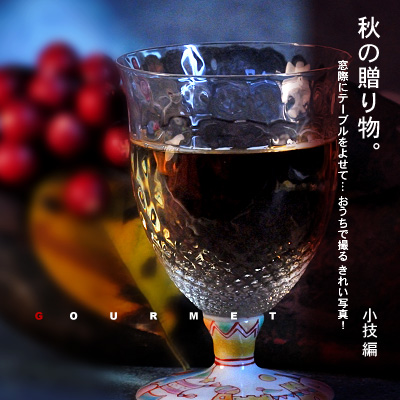 ¤«¤Ê¤ê¥Ô¥ó¥Ü¥± ¥Û¥ï¥¤¥È¥Ð¥é¥ó¥¹ÀâÌÀ