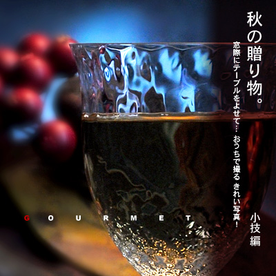 ¤«¤Ê¤ê¥Ô¥ó¥Ü¥± ¥Û¥ï¥¤¥È¥Ð¥é¥ó¥¹ÀâÌÀ