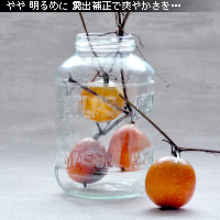 ¤«¤Ê¤ê¥Ô¥ó¥Ü¥± Ä«¤Î¥¤¥á¡¼¥¸