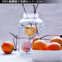 ¤«¤Ê¤ê¥Ô¥ó¥Ü¥± Ä«¤Î¥¤¥á¡¼¥¸