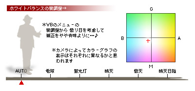 かなりピンボケ グレーバックセットの組み方