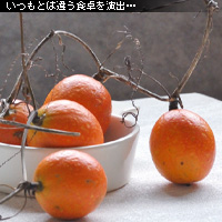 かなりピンボケ マド際に撮影セットを組む