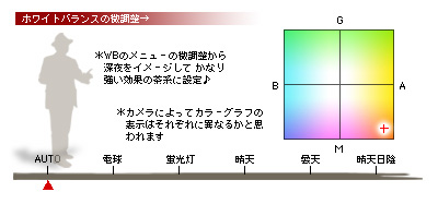 かなりピンボケ 真夜中のグルメ キレイ撮り
