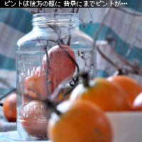 かなりピンボケ 布バックのレイアウト