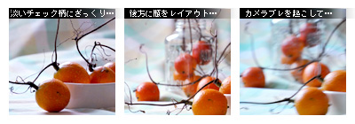 かなりピンボケ 布バックのレイアウト