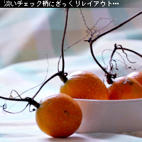 かなりピンボケ 布バックのレイアウト
