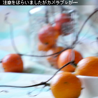 かなりピンボケ 布バックのレイアウト