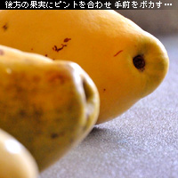 かなりピンボケ フォーカスロック