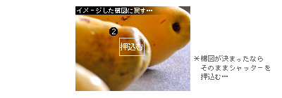 かなりピンボケ フォーカスロック