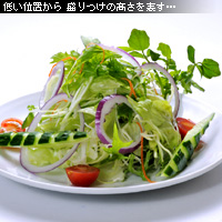 かなりピンボケ アングルの変化 サラダの高さ