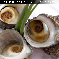 かなりピンボケ 小ネギの撮り方