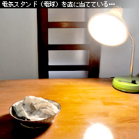 かなりピンボケ 電気スタンドで撮るお料理