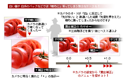 かなりピンボケ 露出補正で明るく爽やかに