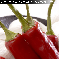 かなりピンボケ 赤唐辛子の撮り方