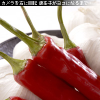 かなりピンボケ 赤唐辛子の撮り方