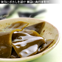 かなりピンボケ 根こんぶの撮り方