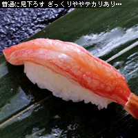 かなりピンボケ ズワイ握りを撮る