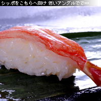 かなりピンボケ ズワイ握りを撮る