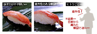かなりピンボケ ズワイ握りを撮る