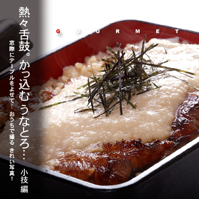 かなりピンボケ うなとろを撮る イメージ