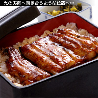 かなりピンボケ うなとろを撮る イメージ