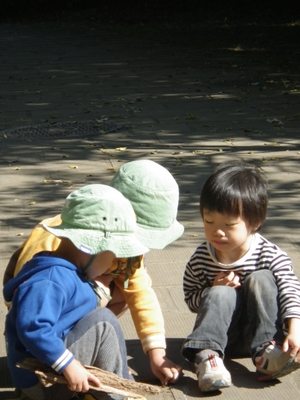 IMGP0107.JPG
