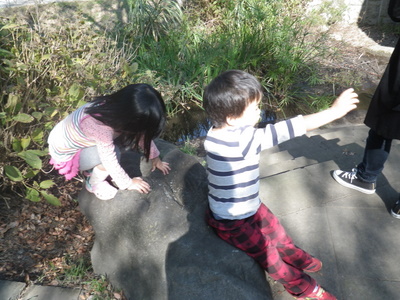 IMGP0119.JPG