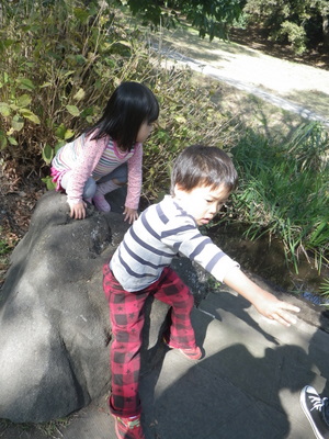 IMGP0120.JPG