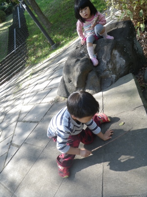 IMGP0125.JPG