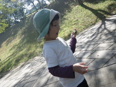 IMGP0126.JPG