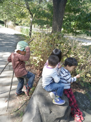 IMGP0129.JPG