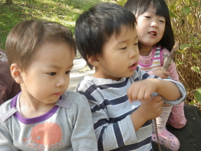 IMGP0132.JPG