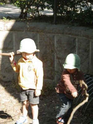 IMGP0135.JPG