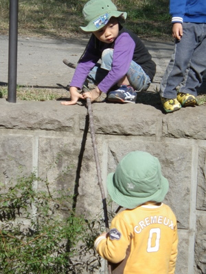 IMGP0138.JPG