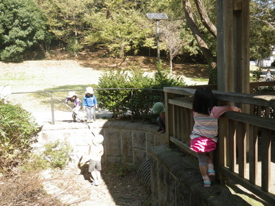 IMGP0140.JPG