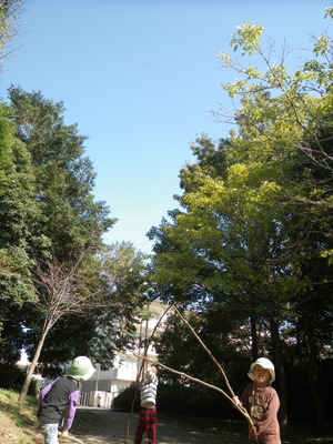 IMGP0141.JPG