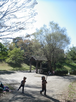 IMGP0146.JPG