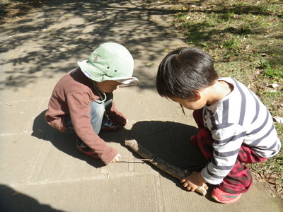 IMGP0148.JPG